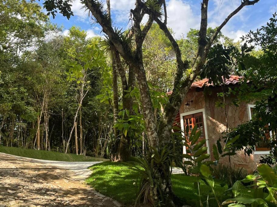 Chale Carolina Bela Villa Guaramiranga Dış mekan fotoğraf